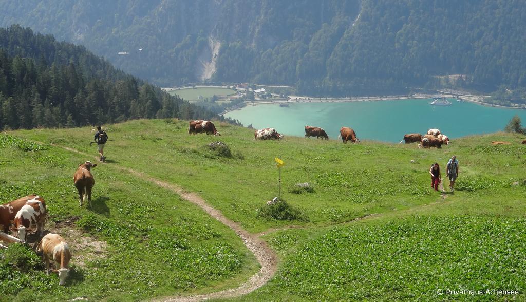 Privathaus Achensee Achenkirch Room photo