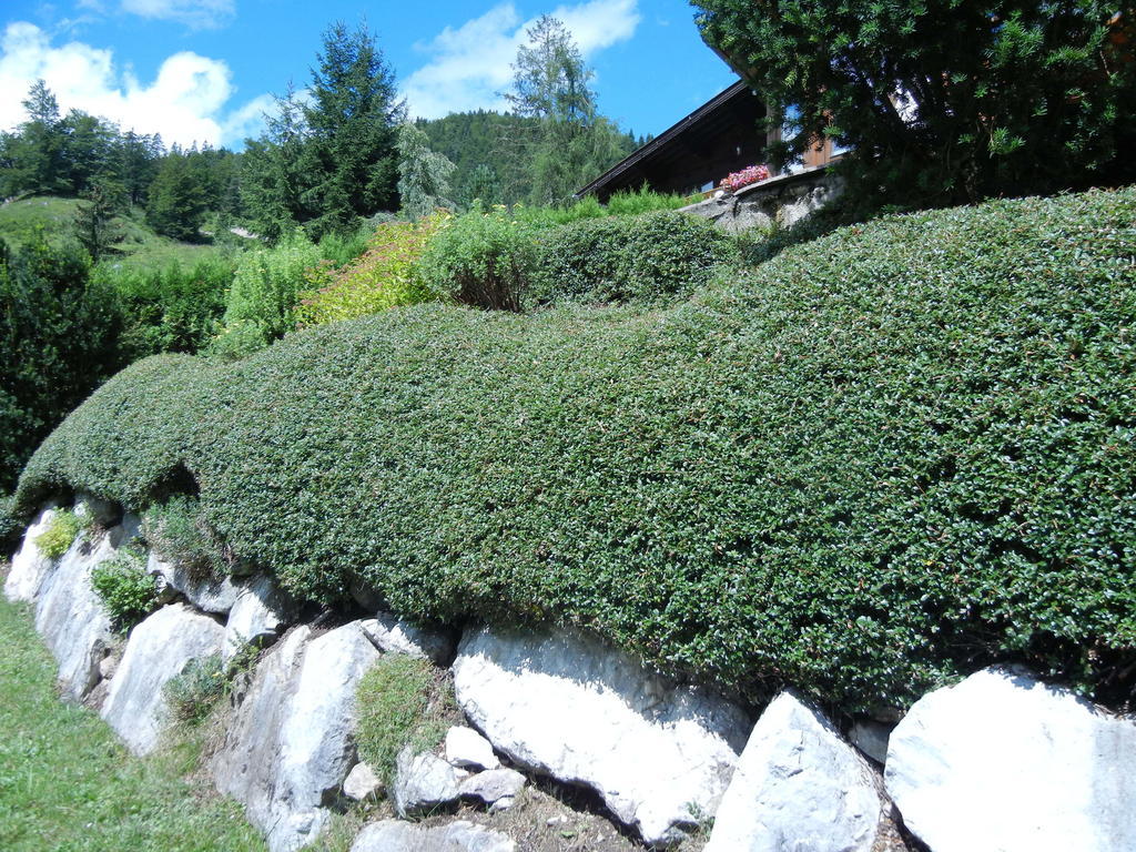 Privathaus Achensee Achenkirch Room photo